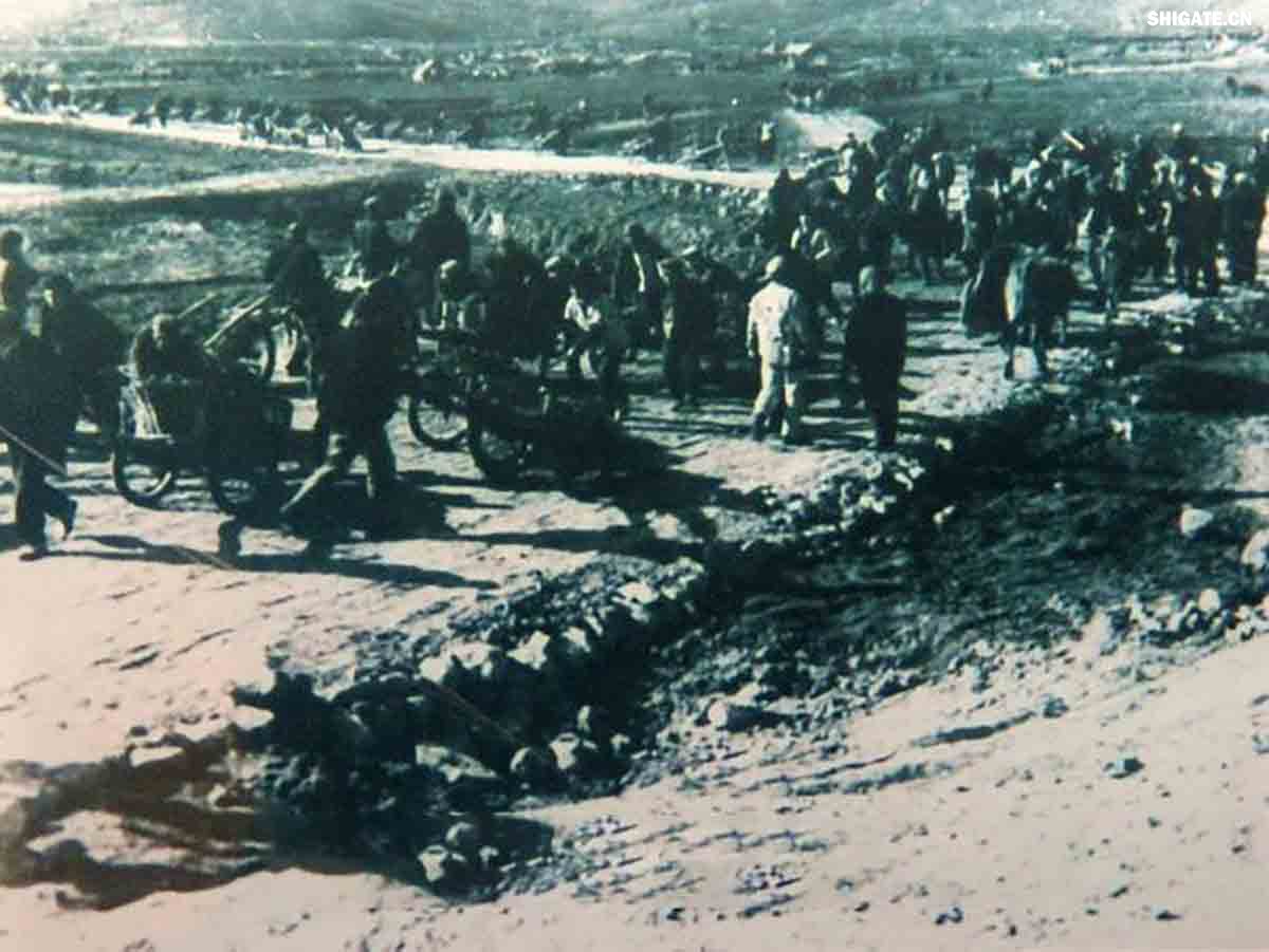 平（平頂山）舞（舞陽）會戰(zhàn)