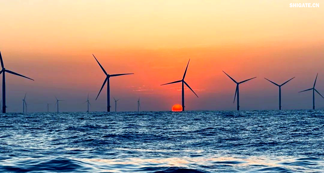 1756003647674402.png 82f6160af76714ef5540d47d4a57ee81.png